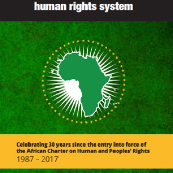 A GUIDE TO THE AFRICAN HUMAN RIGHTS SYSTEM