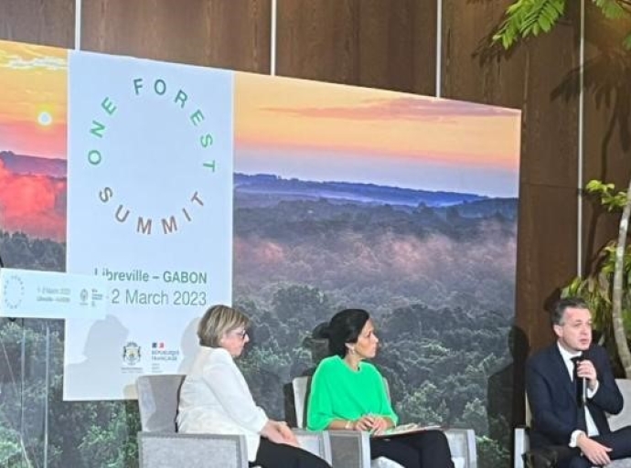 One forest summit au Gabon : Derrière les discours de satisfaction se cache une forêt de misère